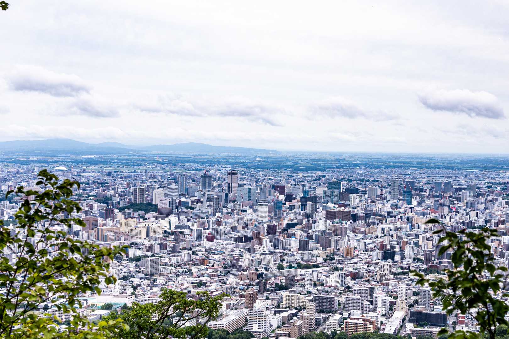 今日の札幌市街。しっとりしてます。