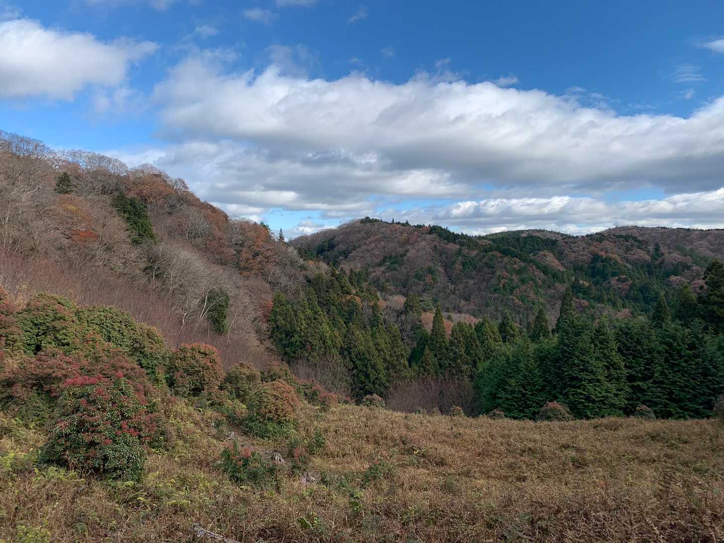 ここからの景色も素敵✨️