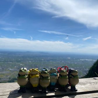 カエルさん3匹が新加入🐸🐸🐸
カエル登山部結成✌️