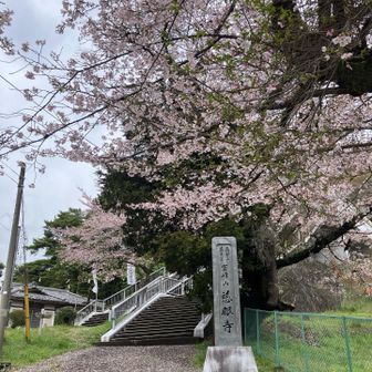 慈眼寺さんだそうです。