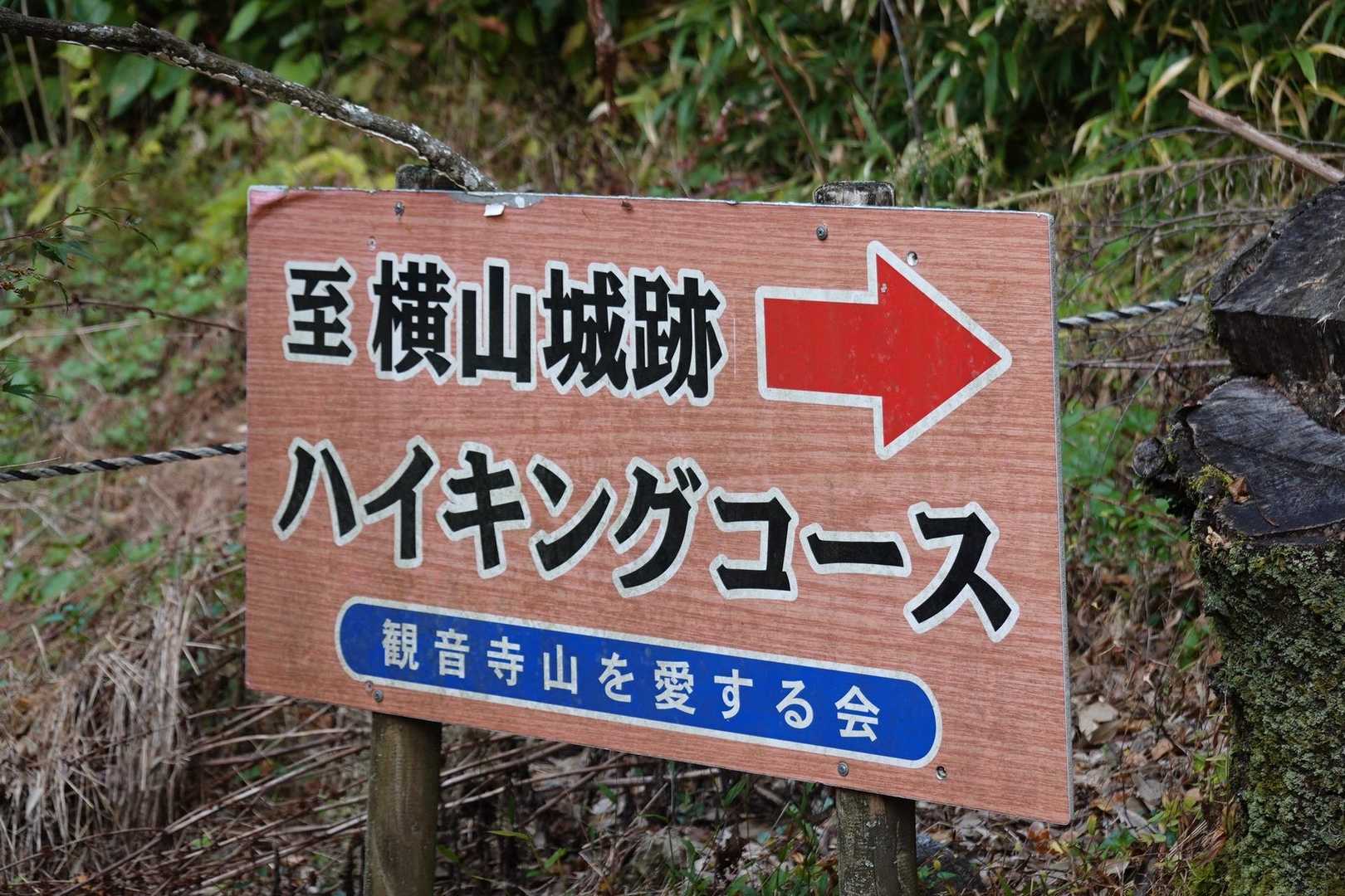 ハイキングコースなら急登もない、安心安全コースのはず。と気楽に考えていた…