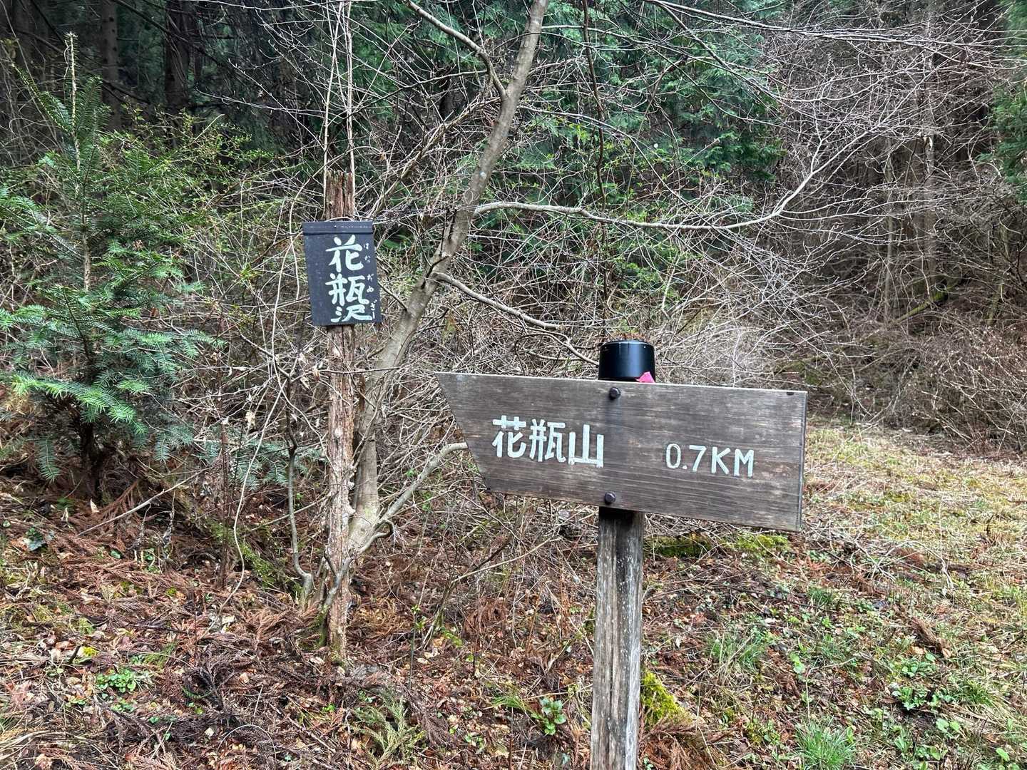 林道歩き終わり。ここから山の中に入って行きます