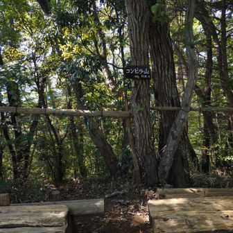 コンピラ山、ここも展望なし