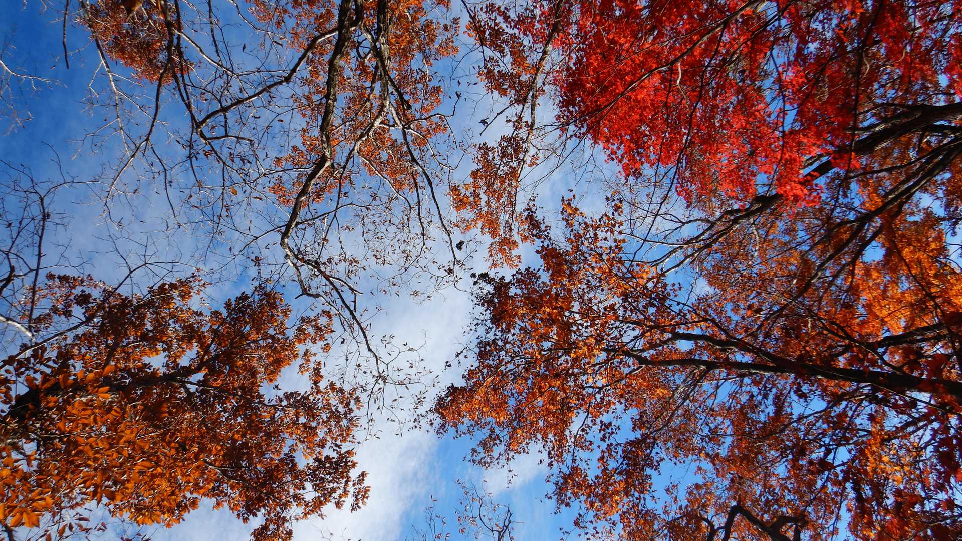 真っ青とはいかないけど、登るには良い天気⛅️