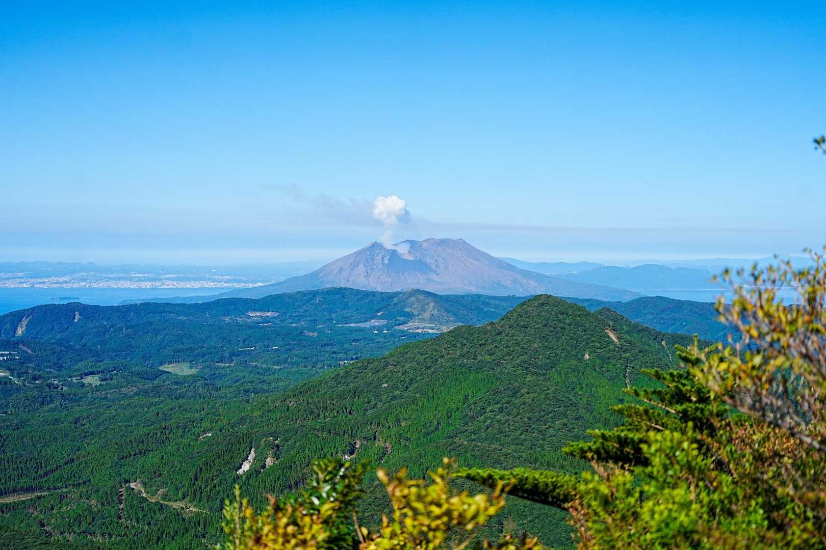 垂桜コース登山口-大箆柄岳 往復コースの写真