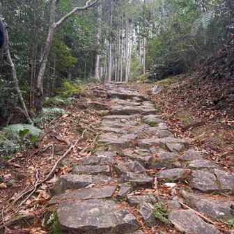 冷水山・百前森山・果無山 登ります