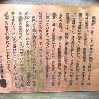 🪧源頼朝が🗣(いざ鎌倉へ)って立寄りました。