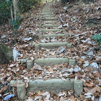 さぁ登り返し…ふぁいとー！