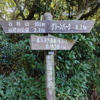 ここからは藤ノ木コースを進みます。