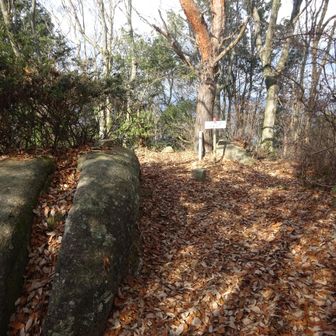 経小屋山頂上へ
