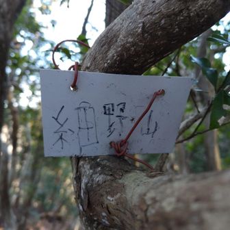 これが分かりづらくて通り過ぎて戻りました。