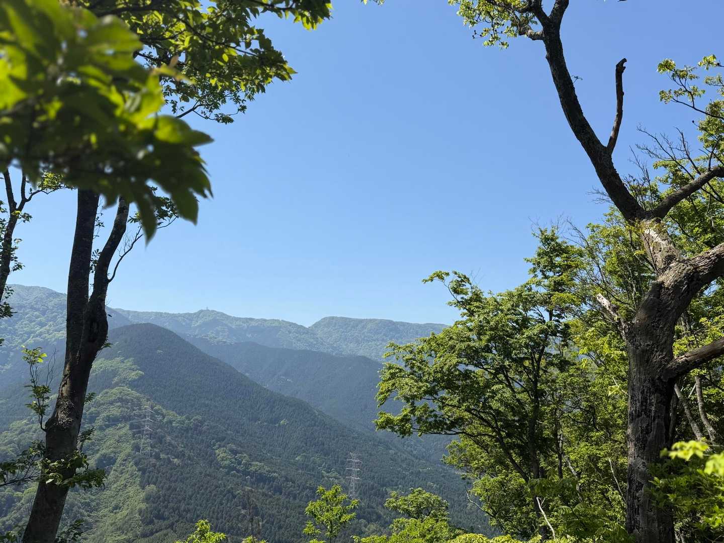 さぁ‼️
次の山頂を目指して🏃‍♀️🏃

途中に皿ヶ嶺が見えるポイントに😃
皿ヶ嶺が近い‼️