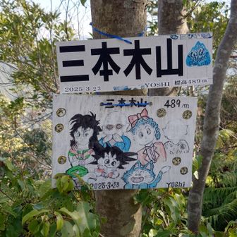 三本木山山頂でドラゴンボール🐉