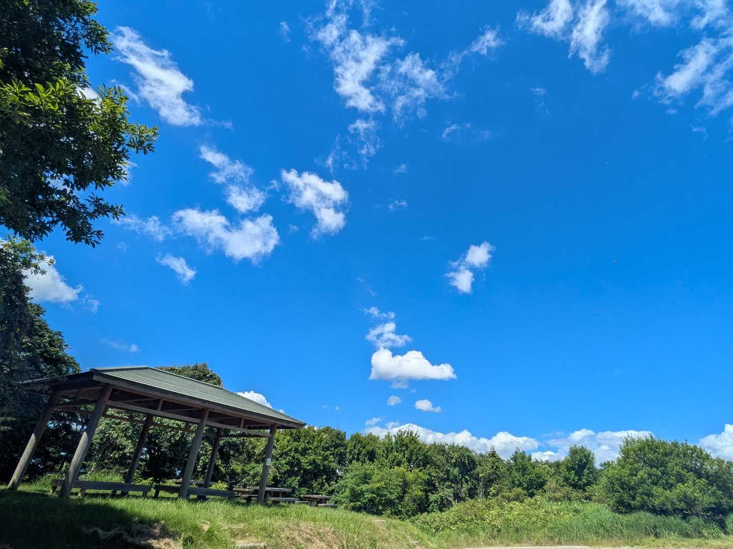 登山口まではすぐです✨
青空〜