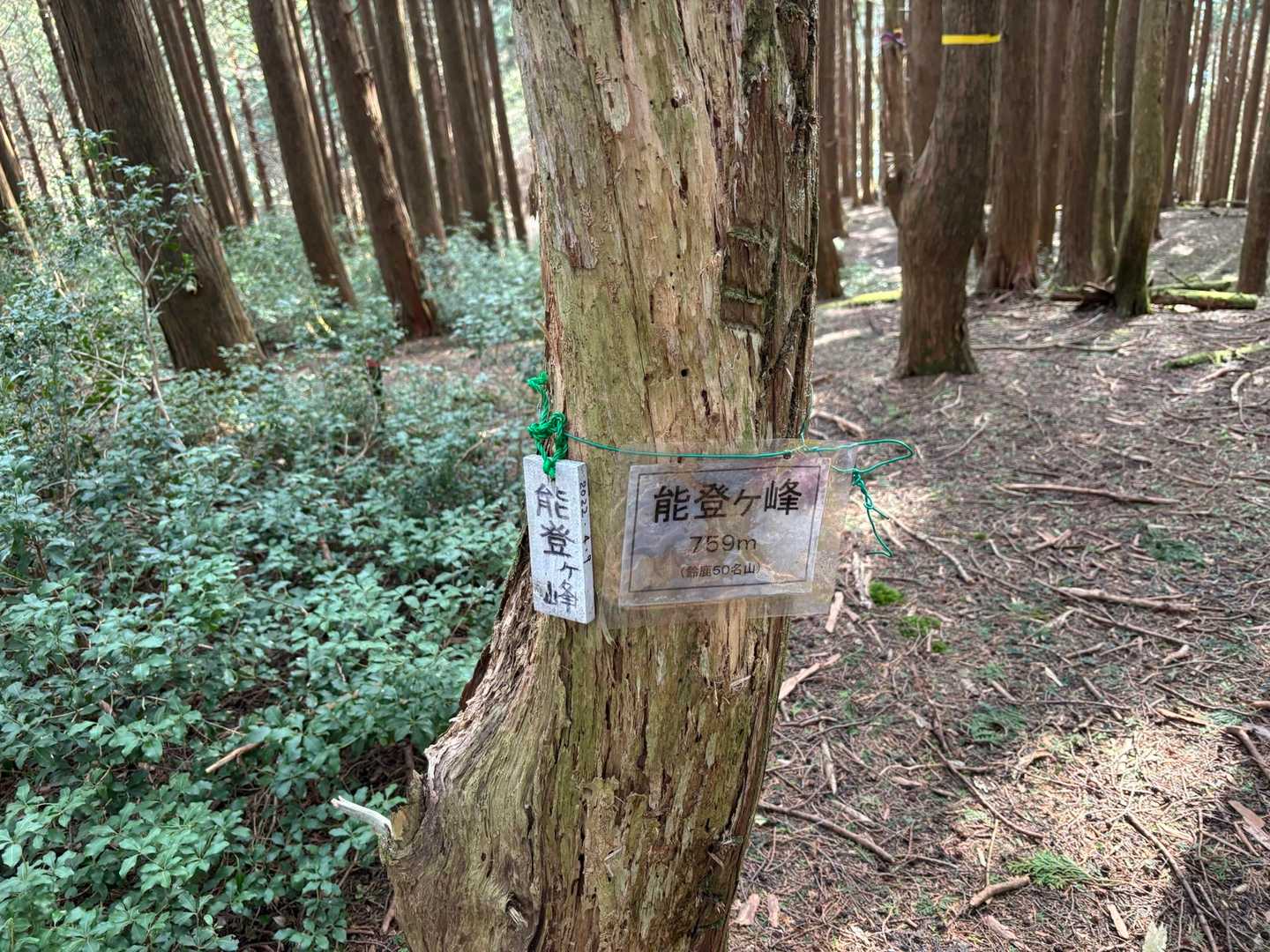 到着
もう少し足を伸ばして鹿の楽園まで