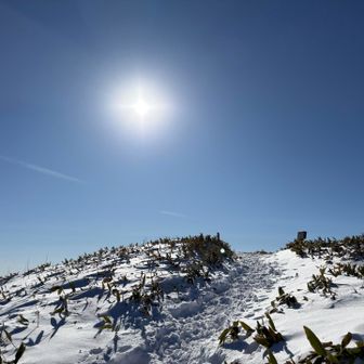 ギラギラ太陽☀️
今日はすっかり日に焼けて顔がヒリヒリします💦