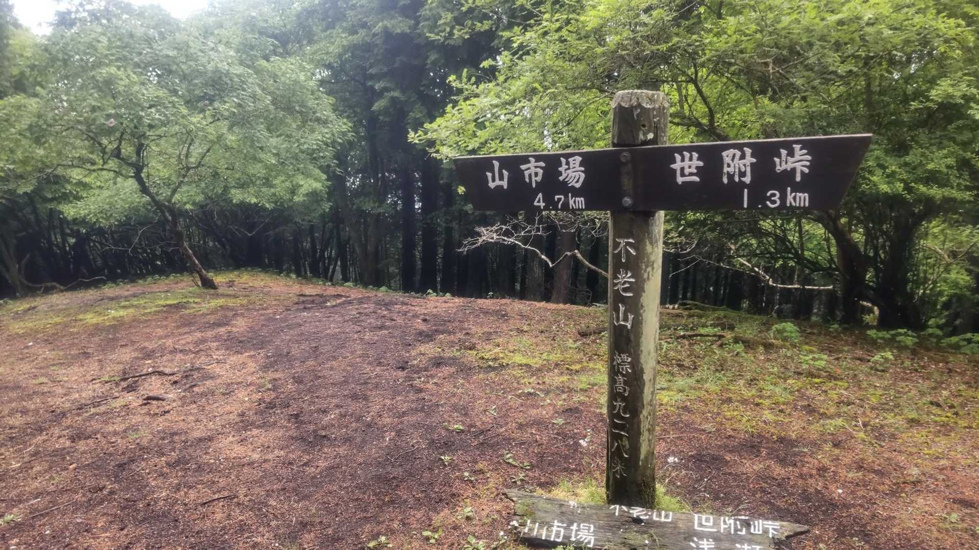 まぁサクッと到着👣
楽勝だったぜ(;´Д｀)ﾊｧﾊｧ