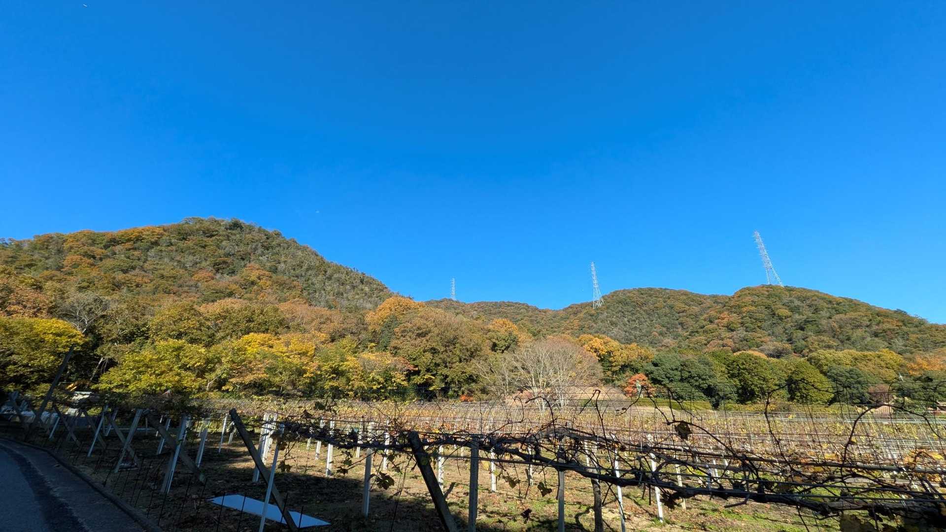 吉備大臣宮-妹山-鷲峰山-鷲峰山・捧澤寺入口 周回コースの写真