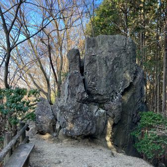 岩茸石まで戻ってきて、下山は滝ノ平尾根を通っての周回
恐れていた根っこ地獄は濡れていなくて滑らず転ばす無事下山できました✌️