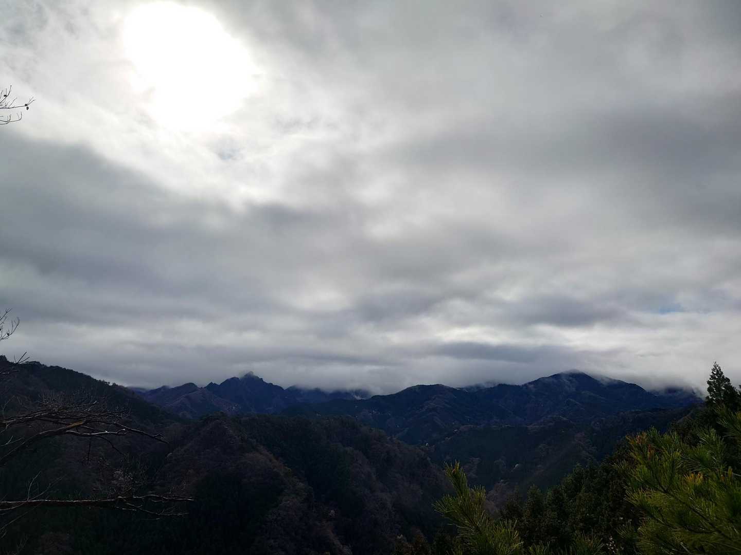 南側はどんより雲〰️