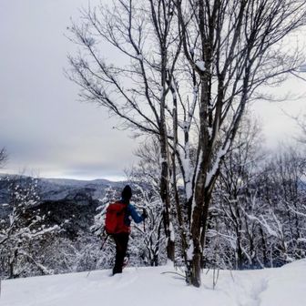 久しぶりだけど久しぶりな感じのしないhacchiさん🐝