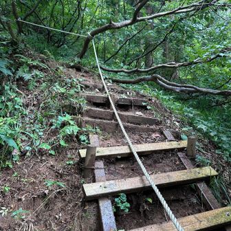 登山道はとても整備されています