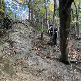 ショートカット道を急降下！
