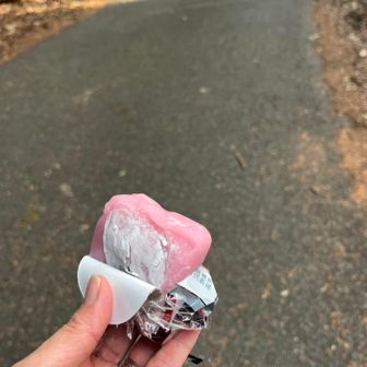 苺大福食べてラストのパワーへ