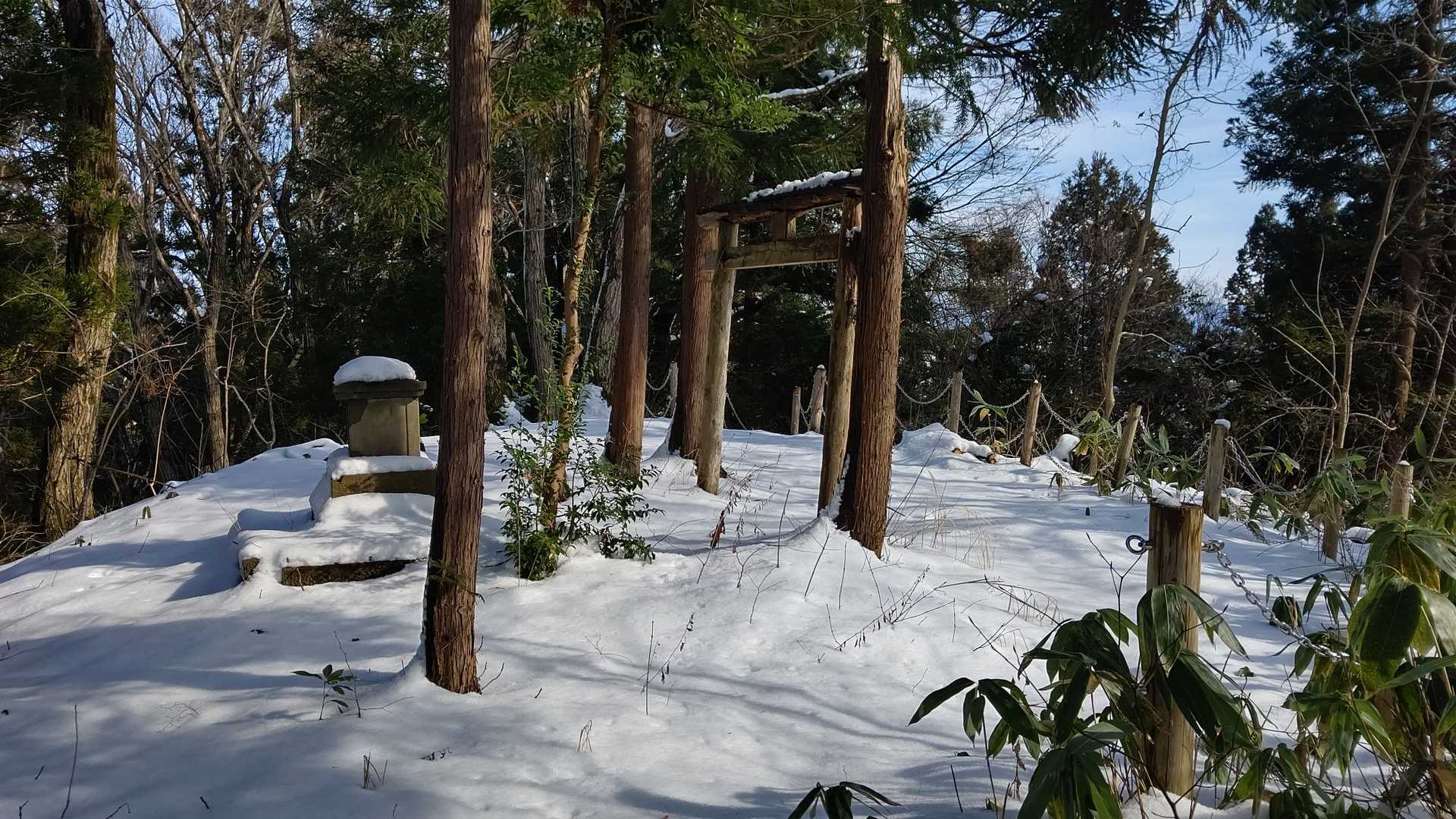 金比羅山登頂🙌