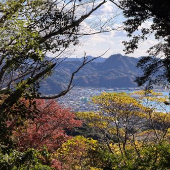 紅葉のむこうに保田の町