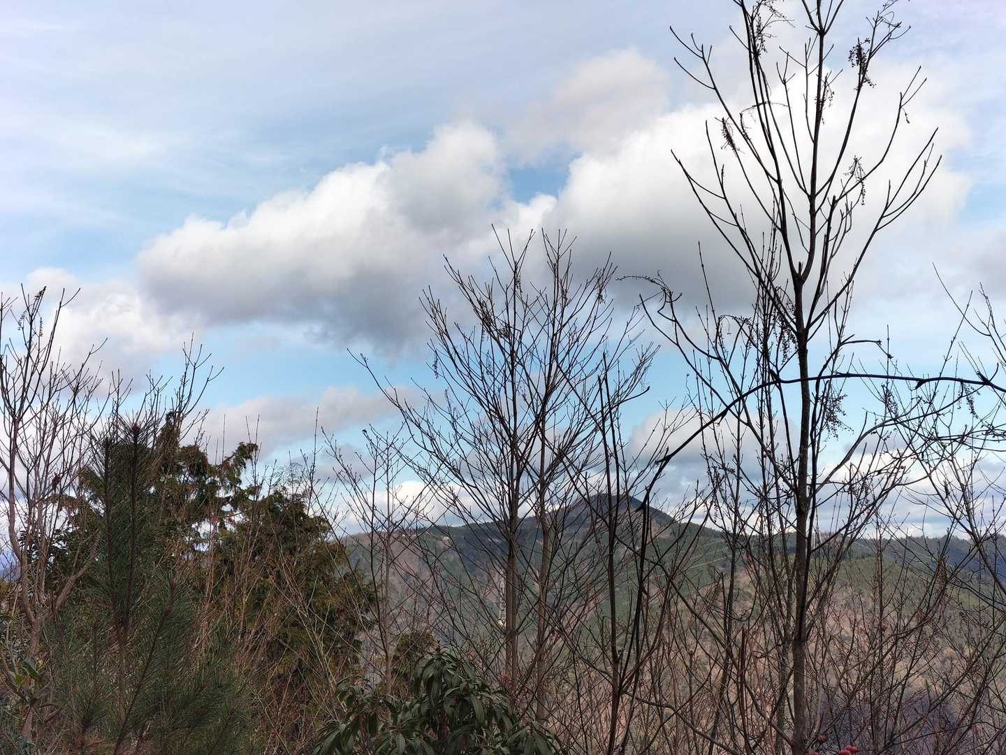 黒尾山を見て、