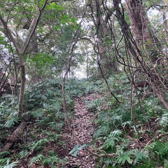 短い距離でしたが激しい🕸️との攻防💦