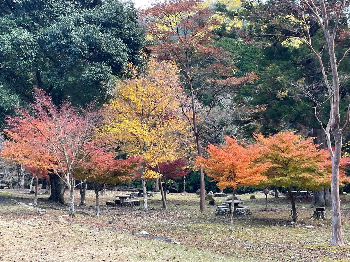 宇連山-瀬戸岩-棚山 周回コースの写真