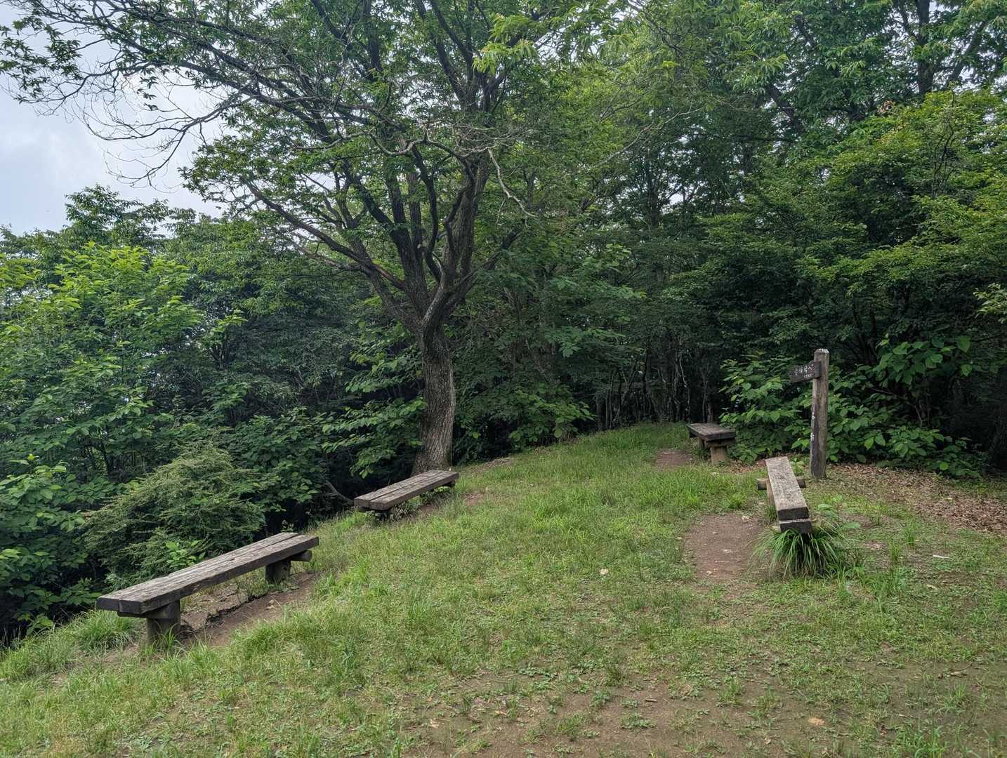あっ！
いよいよ到着致しました〜！！
うん！うん！
なるほどですね〜！！
ベンチがあって、平たい頂上でした！

それでまたここで片手落ちなことをしているのよね...。

丁度ベンチの前が南側なのですが、有馬山、この春にお邪魔した蕨山（わらびやま）とかね、前~に登った棒の嶺とかも見える頂上らしいのに、視界にはベンチとこの後ろにある武川岳の山頂標柱に目がいった感じですね...。😅💦
そんなにババーンと景色を感じなかったのかなぁ...。
それにしても〜１枚くらい撮っておいでよ！ですよねぇ...。🫣💦
あ”ぁ〜情報不十分であしからず！🙂‍↕️💦