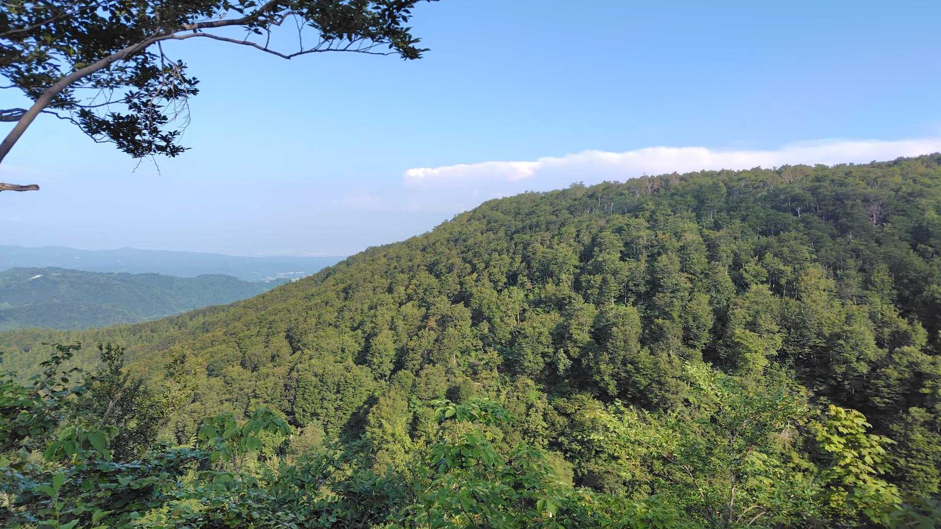 保久礼小屋登山口-大岳 往復コースの写真