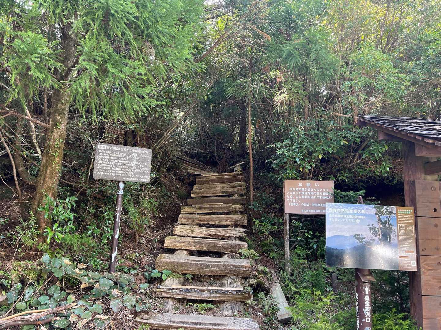 んで、やっとこ登山口
福岡出てからここまでがまぁ大変w