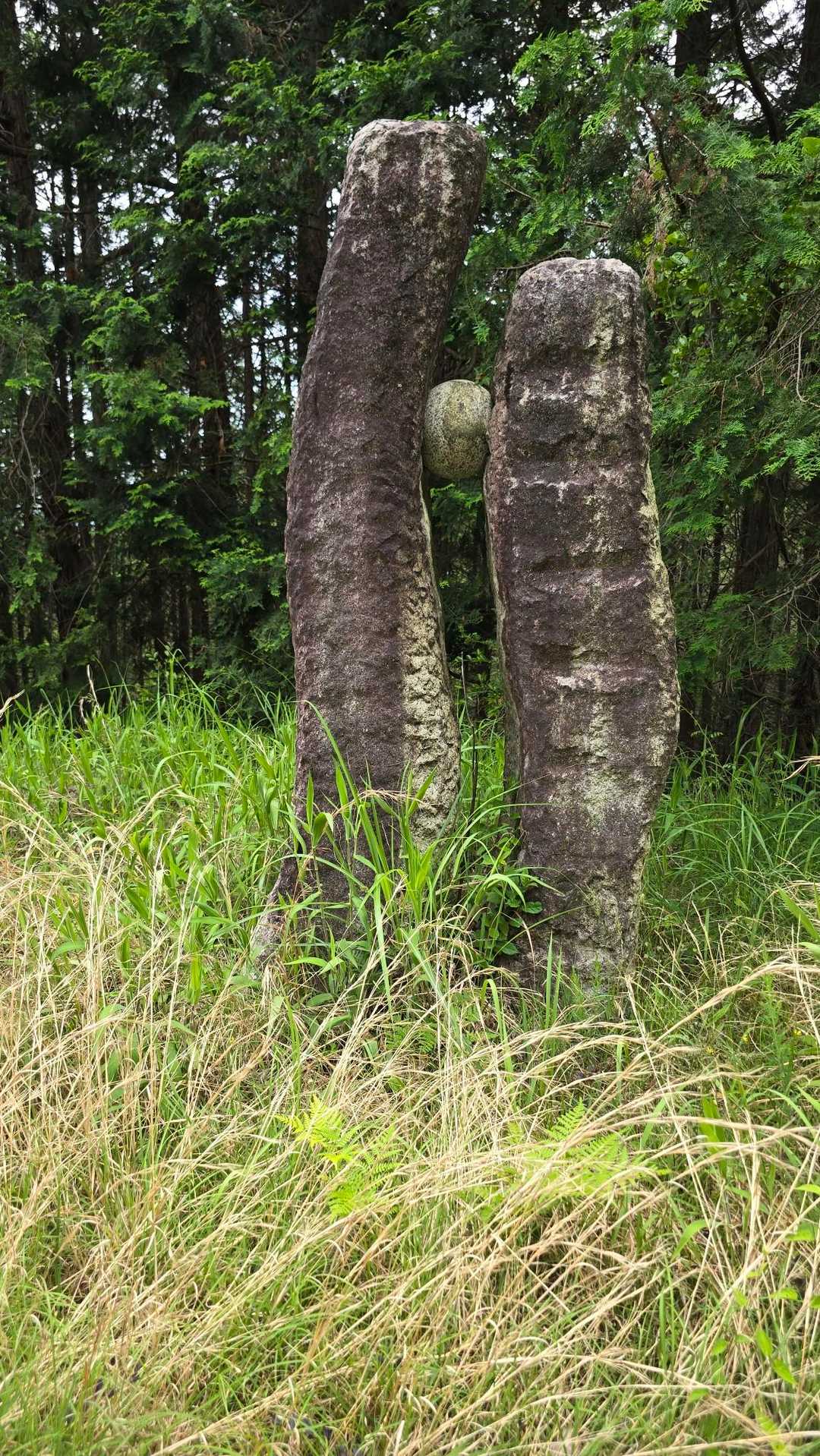 若山 周回コースの写真