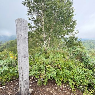 戸隠山
山頂到着👏✨