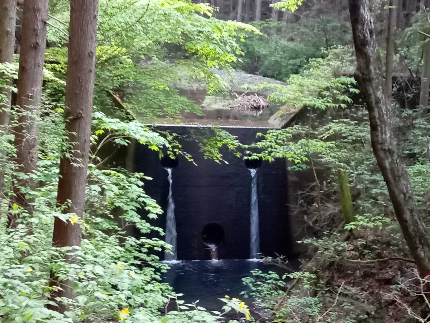 うつぼ沢出合-向山-花瓶山-花瓶沢登山口 周回コースの写真