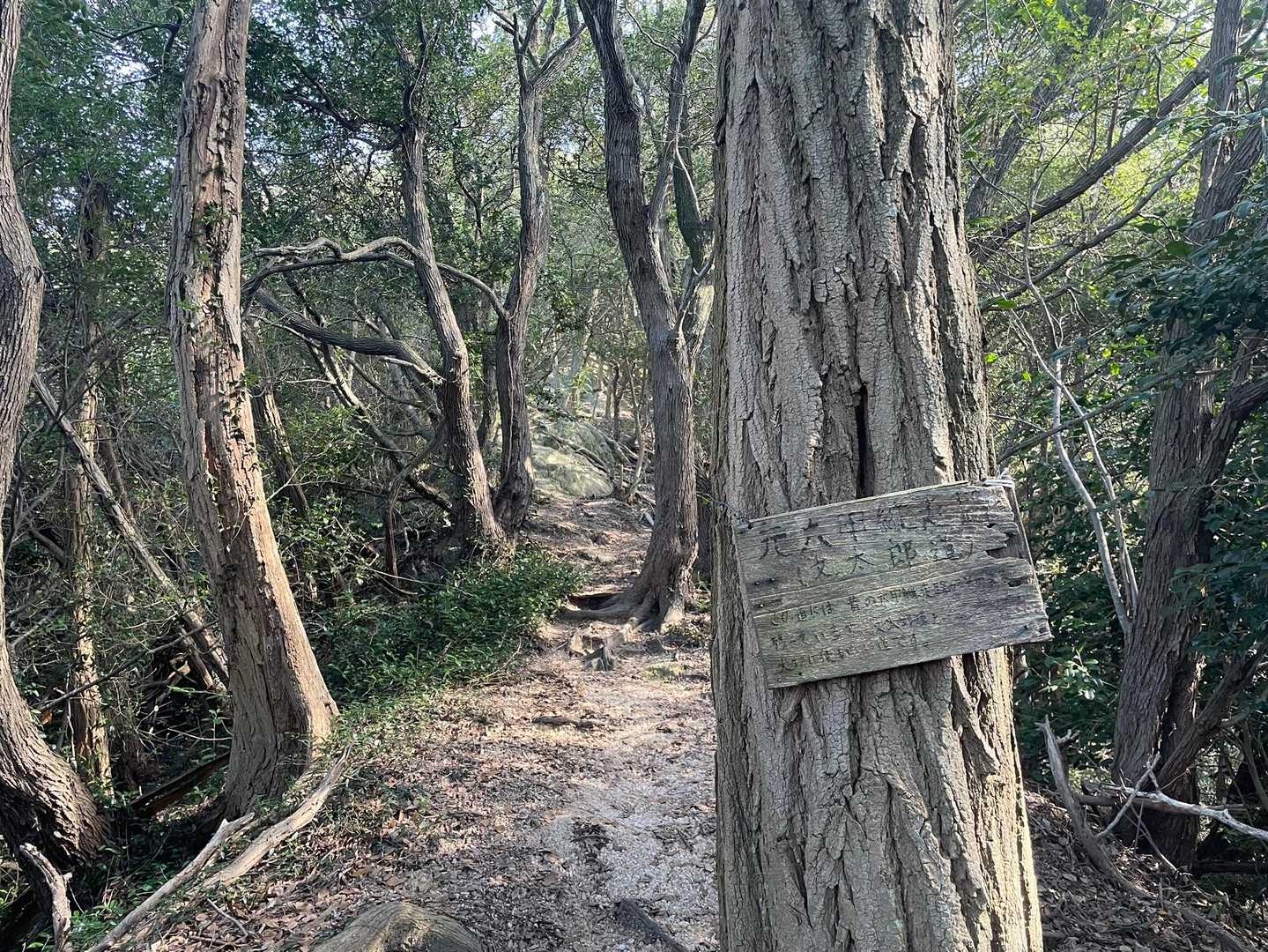 今日も文太郎道⛰️