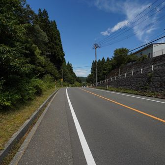 保坂バス停まで炎天下蒸し暑い中の車道沿い歩き🥵もちろん日傘あり