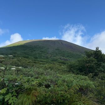 山頂部が見えました