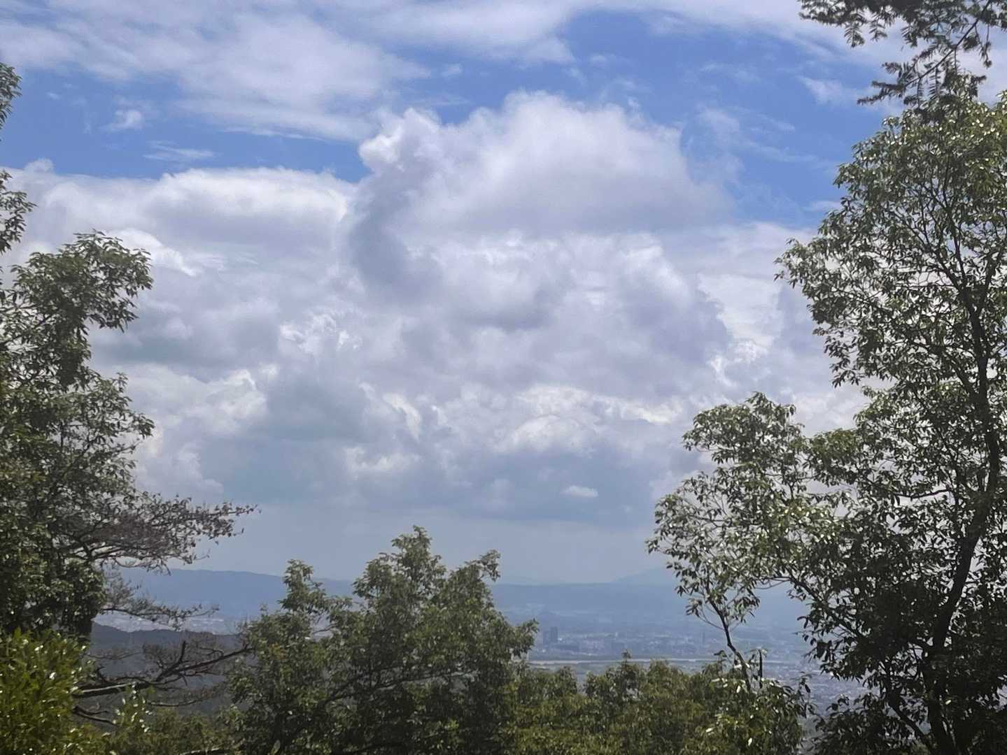 ええ天気🌤