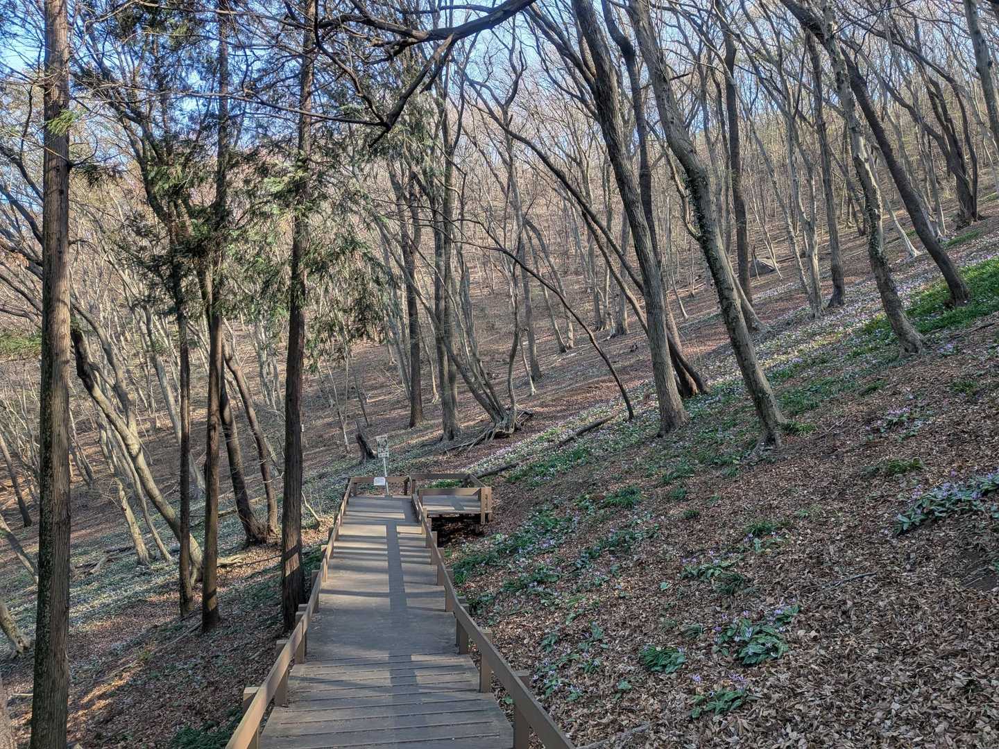 中岳-三毳神社-山頂中継広場 周回コースの写真