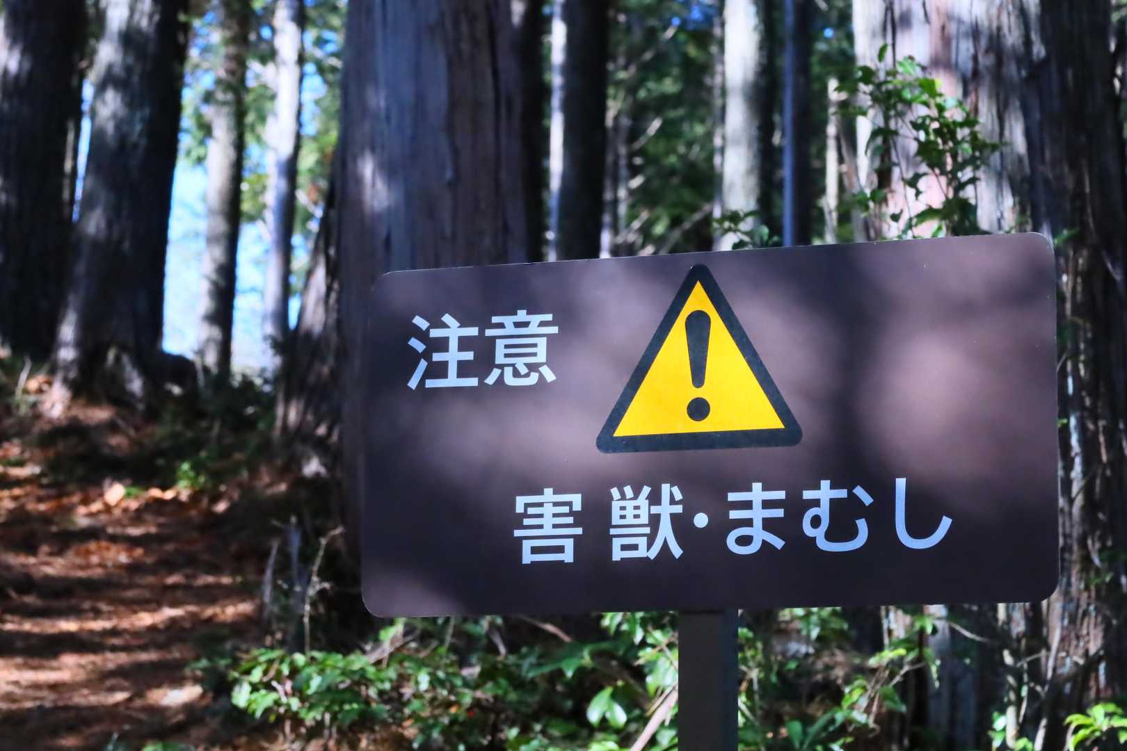 皆に注意喚起。ありがとうございます。が・・・城山頂上手前は整備中なので少し大変です。老若男女注意です。