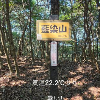 藍染山
ここで折り返し