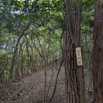 後天狗岩の看板ありますがまだ先です😊