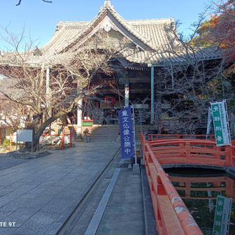 本堂に。
紀三井寺は、奈良時代の770年に唐から渡ってきた高僧・為光上人によって開基された霊刹。 歴代の天皇も数多く行幸した歴史ある名刹。。

ここで、スマホのバッテリー🪫の残量が残り1%に気づく😆😆