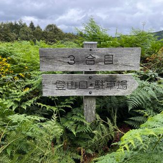 今日はこの辺までです