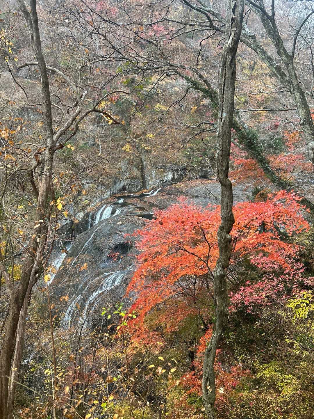 立神山-生瀬滝上-男体山・月居山登山口 縦走コースの写真